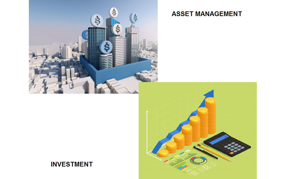 Asset Management and Investment